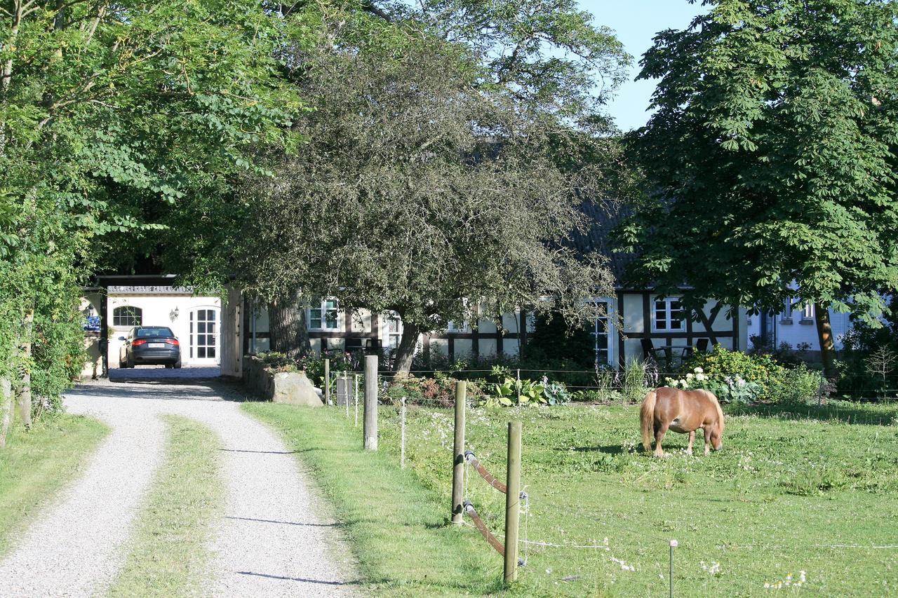 Rodkaergard Bed&Breakfast Kerteminde község Kültér fotó