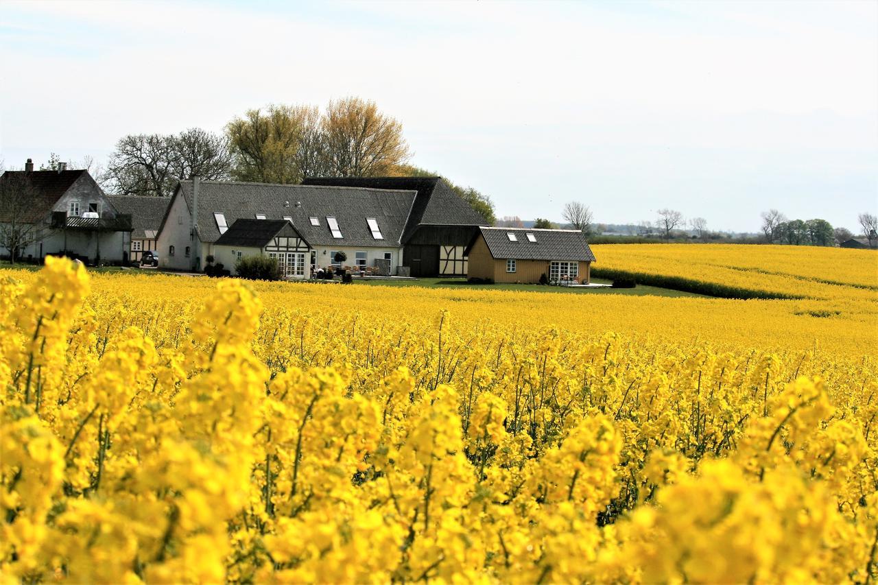 Rodkaergard Bed&Breakfast Kerteminde község Kültér fotó